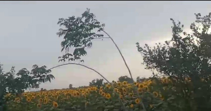 10 acers agriculture land for sale