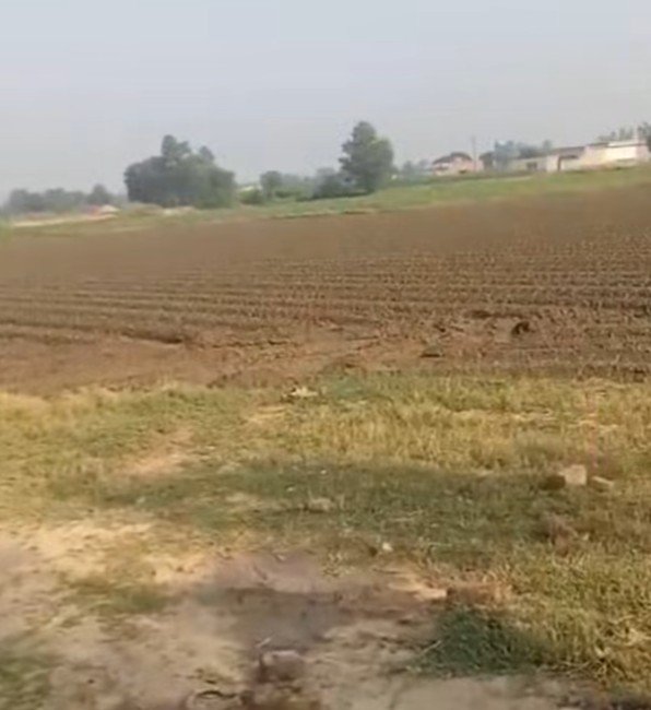 13 acer agriculture land for sale