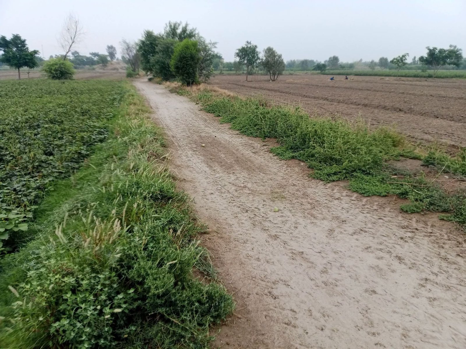 2acer agriculture land for sale