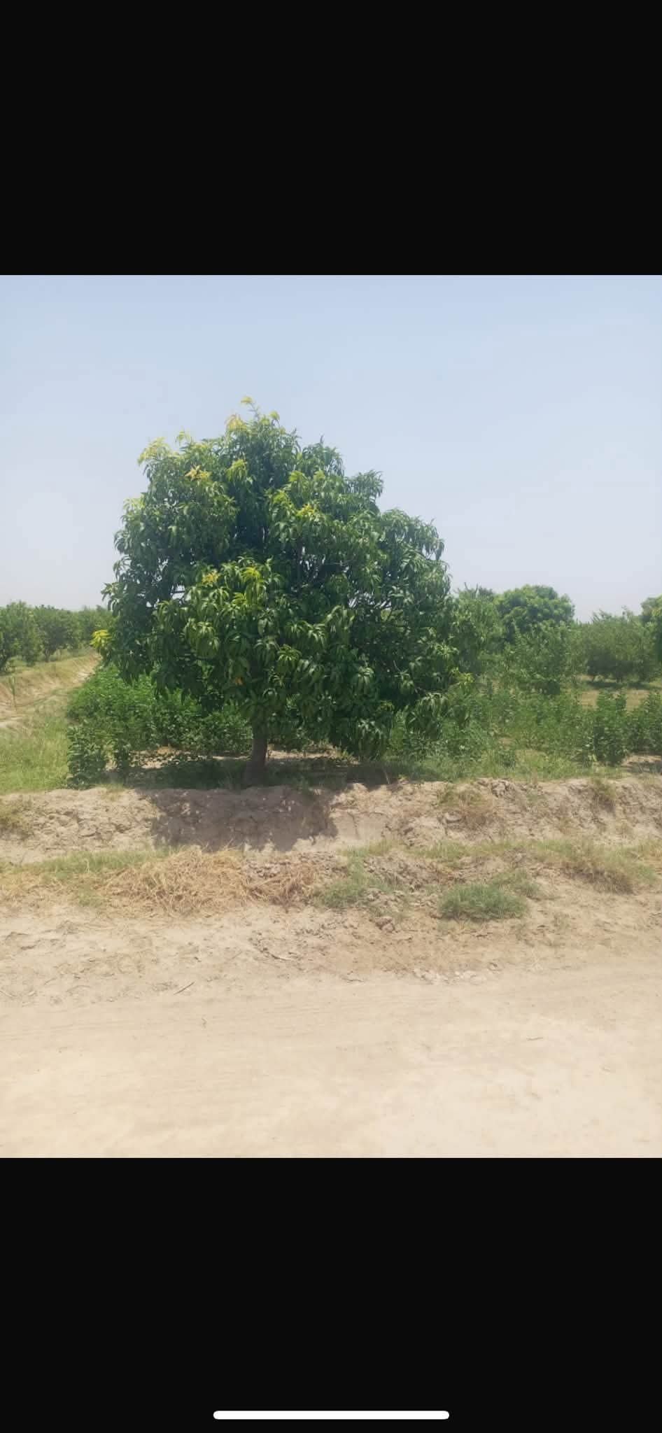 Agriculture land for sale in khanpur