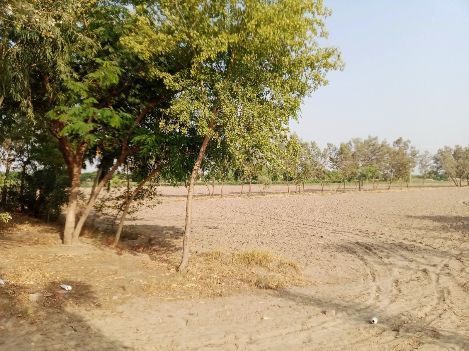 فروخت دو ایکڑ چھ کنال نہری رقبہ برائے